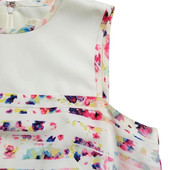 Shoshanna Abstract Floral Stiped Sleeveless Shift Dress Size 6 Anthropologie - Picture 10 of 16
